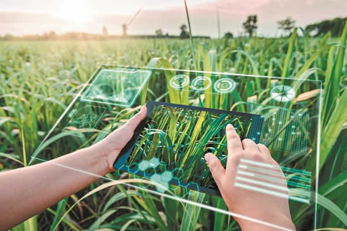 Τεχνητή νοημοσύνη: Στα «χέρια» της η τροφή μας – Η αγροτιά στη νέα εποχή