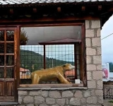 Οι 5+1 ιστορίες που κάνουν ακόμα πιο ξεχωριστή την Μηλιά Μετσόβου