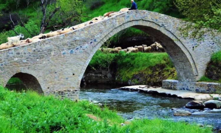 Τα πέτρινα γεφύρια του Δήμου Μετεώρων – Μνήμη, αρχιτεκτονική και προσπάθειες διάσωσης