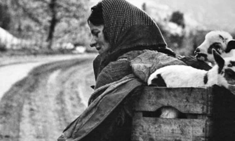 Οι γυναίκες της Πίνδου