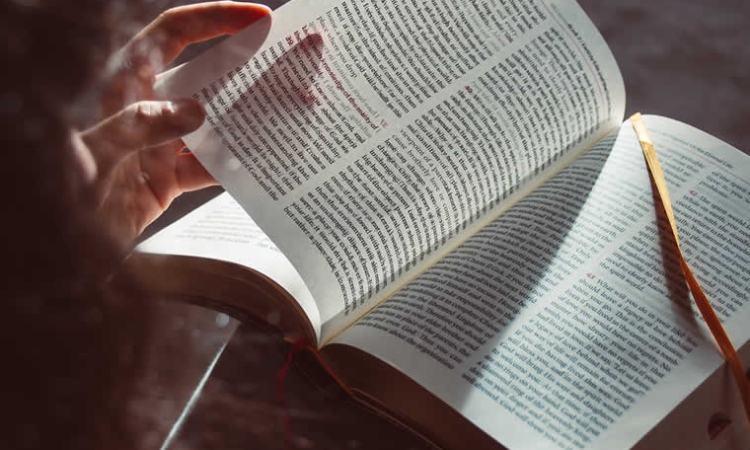 Η Λογοτεχνία ως ιδιαίτερη χρήση της γλώσσας