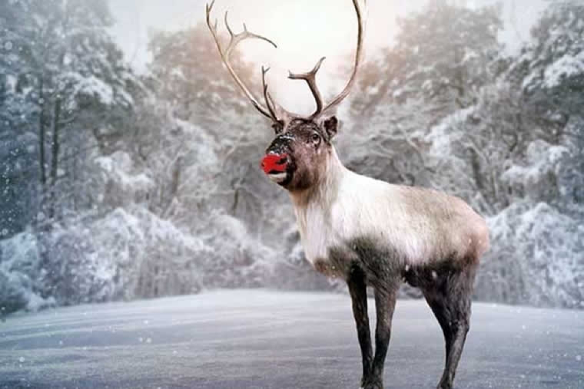 Ο Ρούντολφ θα μπορούσε να έχει κόκκινη μύτη - Η επιστήμη πίσω από το «λαμπερό θαύμα» των Χριστουγέννων