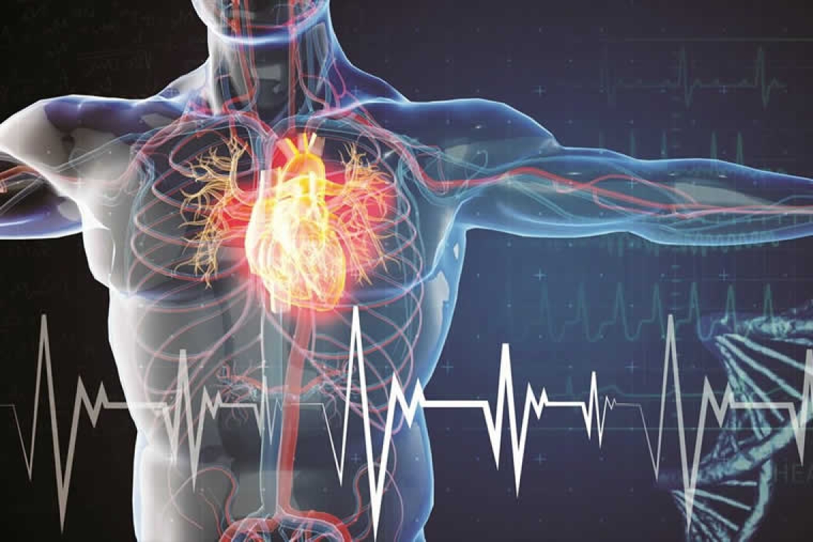 Καρδιακό «τσιρότο» επουλώνει τις ζημιές που προκαλεί το έμφραγμα