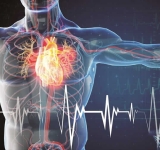 Καρδιακό «τσιρότο» επουλώνει τις ζημιές που προκαλεί το έμφραγμα