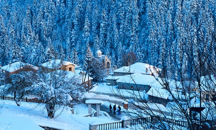 Ελάτη - Περτούλι