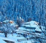 Ελάτη - Περτούλι