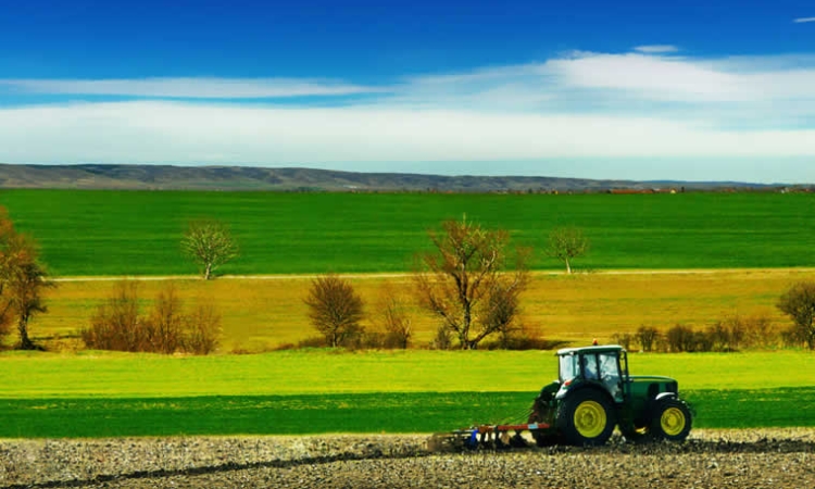 Ποια είναι τα δέκα καλύτερα ξένα πανεπιστήμια για τον αγροτικό τομέα;