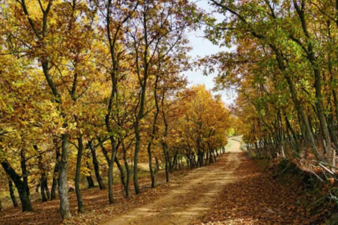 8 μονοπάτια στην Ελλάδα για την Άνοιξη