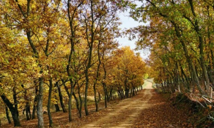 8 μονοπάτια στην Ελλάδα για την Άνοιξη
