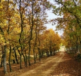 8 μονοπάτια στην Ελλάδα για την Άνοιξη