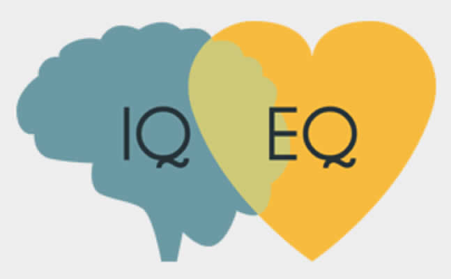 IQ EQ