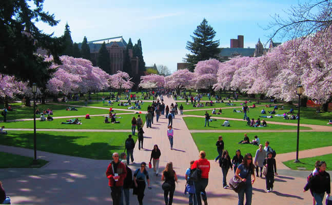 UniversityofWashington