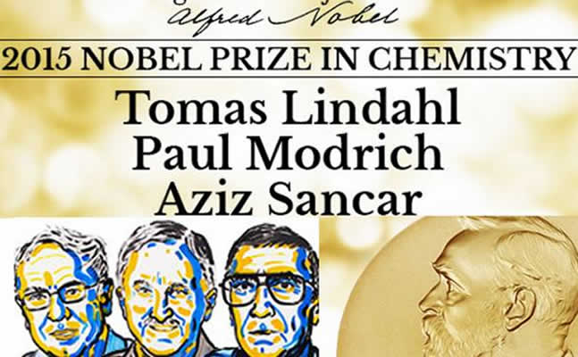 Nobel Ximeias