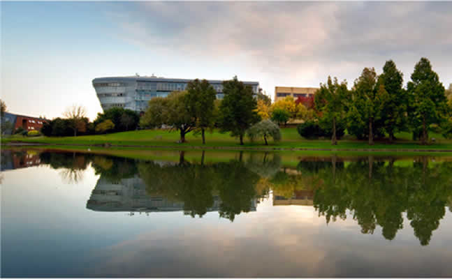 Uni Surrey