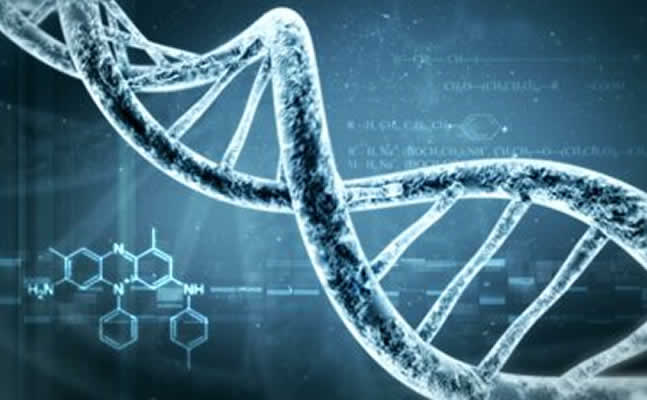 DNA