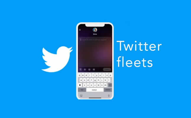 Twitter fleets