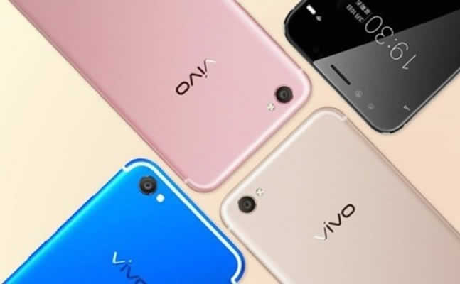 Vivo