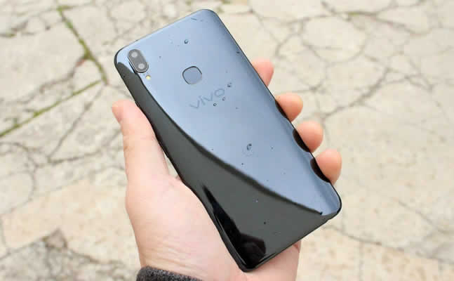 Vivo2