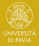 7 PhD Scholarships in Translational Medicine in Italy | University of Pavia