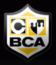 BA Marketing [Digital Communications] | BCA