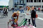 Biomedical sciences | Radboud University