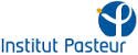 1 Post-doctoral position in Nucleus Biology in France | Institut Pasteur