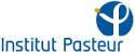 1 Postdoctoral Research position in Function of cell wall proteins in fungal biofilm formation in France | Institut Pasteur